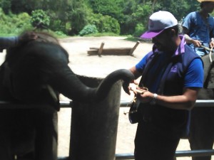SÃ­, alimentÃ© un elefante